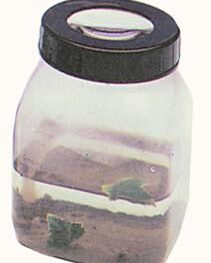 Flaschenlupe
