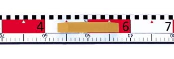 Flachprofil-Lineal mit cm+dm-Skala