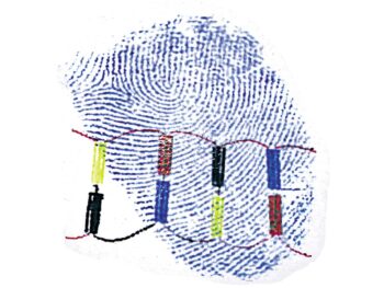 Genetischer Fingerabdruck