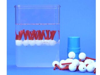 Biomembran-Modell