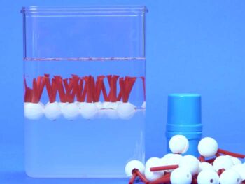 Biomembran-Modell