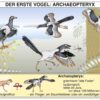Transparentmappe - Evolution 1 - Thumbnail Image 4