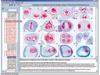 CD-ROM mit Arbeitsmaterial zur Schulserie D