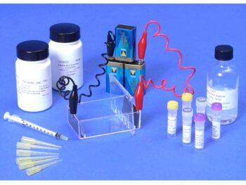 Elektrophorese von Farbstoffen - Kit