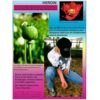 Grundwissen Humanbiologie 4 - Drogen - Thumbnail Image 3