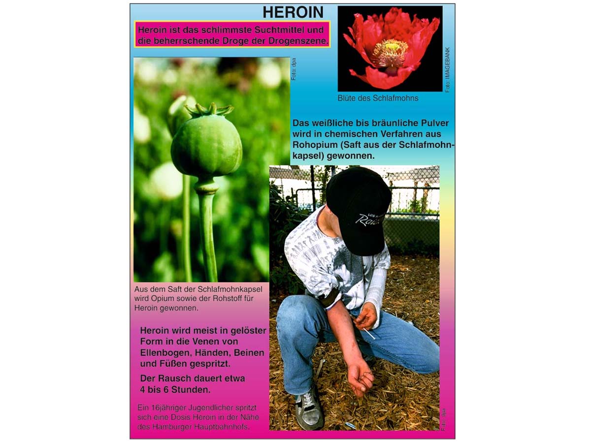 Grundwissen Humanbiologie 4 - Drogen – Bild 3