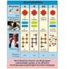 Grundwissen Humanbiologie 3 - Organe - Thumbnail Image 3