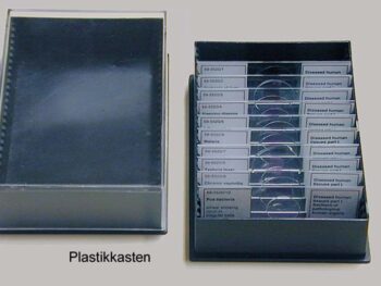 Präparatekasten