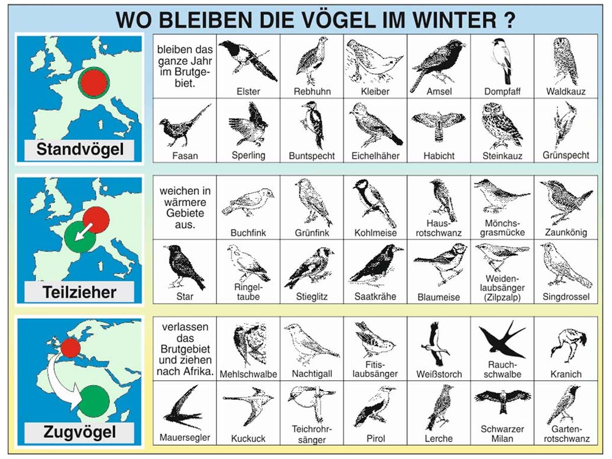Grundwissen Ökologie 3 - Überwinterung – Bild 3