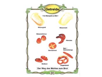Getreide - Vom Weizengrieß zum Mehl - Folie A4