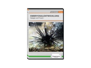 Embryonalentwicklung: Seeigel und Frosch - DVD