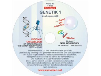 Genetik 1: Molekulargenetik