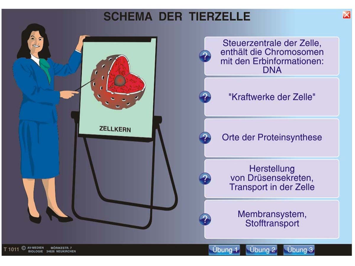 Genetik 1: Molekulargenetik – Bild 2