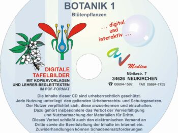 Botanik 1: Blütenpflanzen
