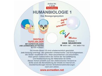 Humanbiologie 1: Das Bewegungssystem