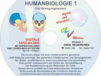 Humanbiologie 1: Das Bewegungssystem