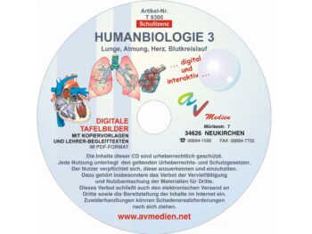 Humanbiologie 3: Lunge, Atmung, Herz, Blutkreislauf