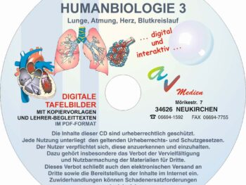 Humanbiologie 3: Lunge, Atmung, Herz, Blutkreislauf