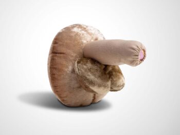 Penis Modell - unbeschnitten