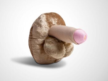 Penis Modell - beschnitten