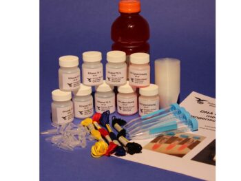 DNA-Gewinnung, Experimentier-Kit