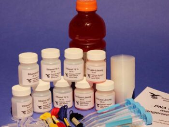 DNA-Gewinnung, Experimentier-Kit