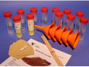 DNA-Extraktion aus der Leber