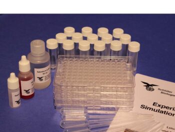 Experimentierkit zur Simulation einer Epidemie