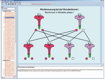 Mendelsche Gesetze, Modifikation und Mutation