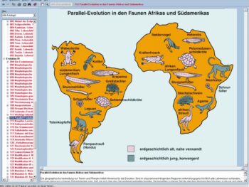 Evolution exemplarisch