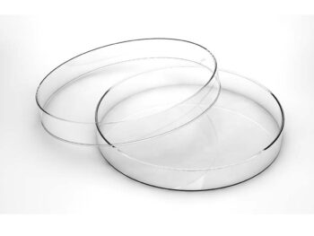 Petrischale aus Polystyrol