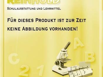 Penis zum Kit Sexualkunde