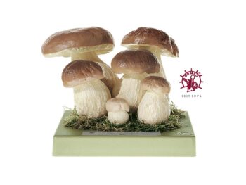 Pilzmodell - Steinpilz, Herrenpilz