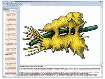 Nervensystem und Informationsübertragung