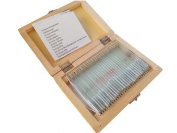 Dauerpräparate: Histologie