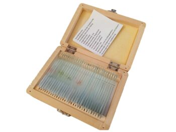 Dauerpräparate: Tiere